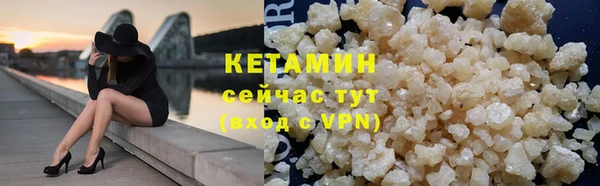 стафф Новозыбков