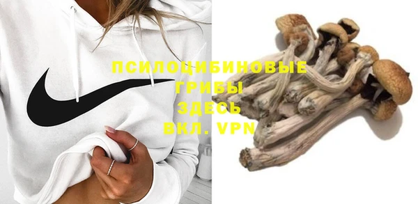 PSILOCYBIN Лиски