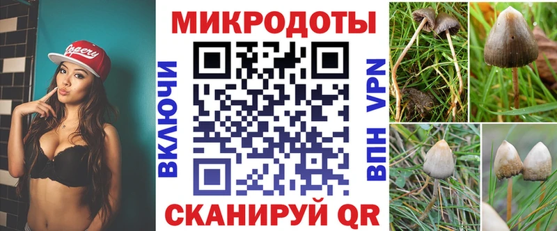 наркотики  Черепаново  Псилоцибиновые грибы Psilocybe 