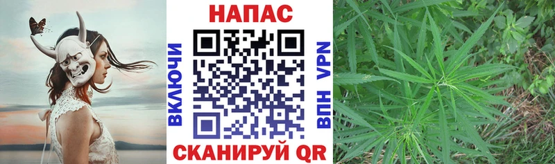 Каннабис SATIVA & INDICA Черепаново